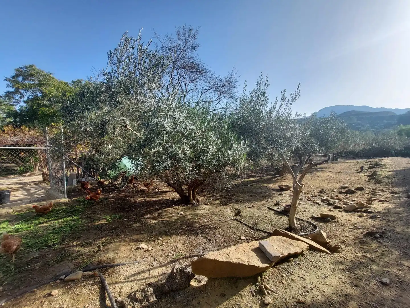 Country homes for sale in Murcia  with Air Conditioner, Heating and Private garden