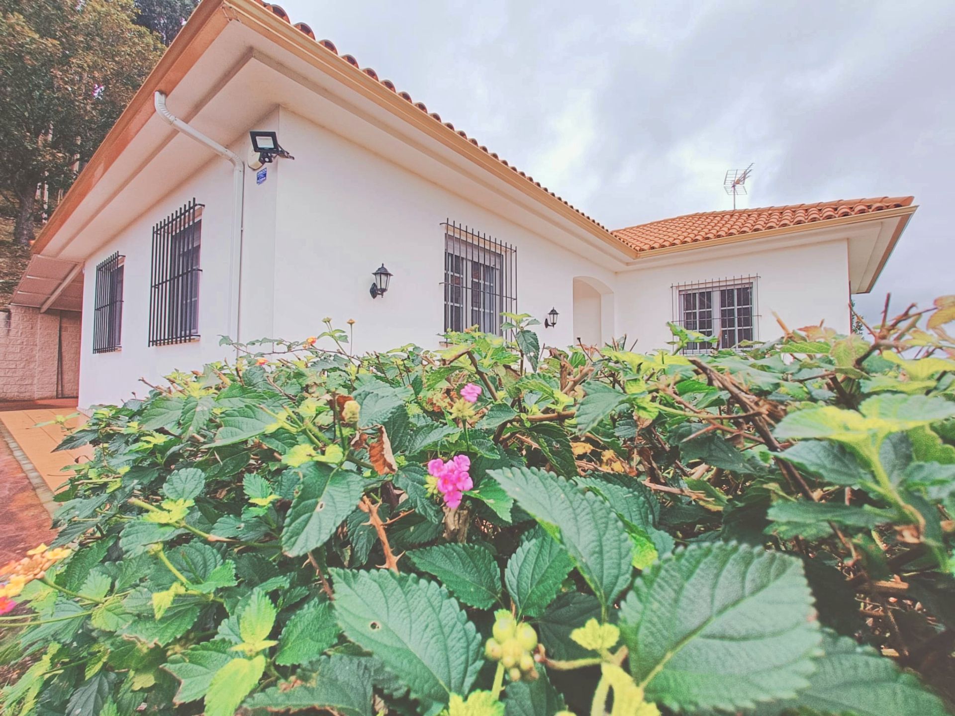 Vista exterior de Casa o xalet en venda en Narón amb Calefacció, Jardí privat i Forn