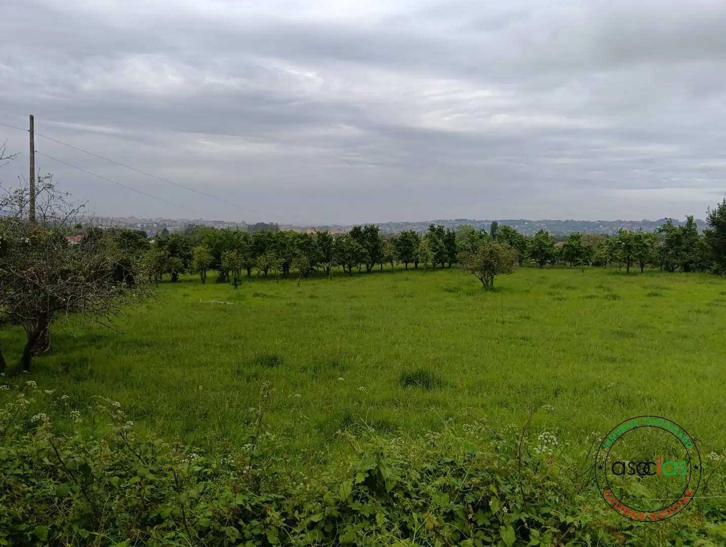 Terreno en venta en Gijón 