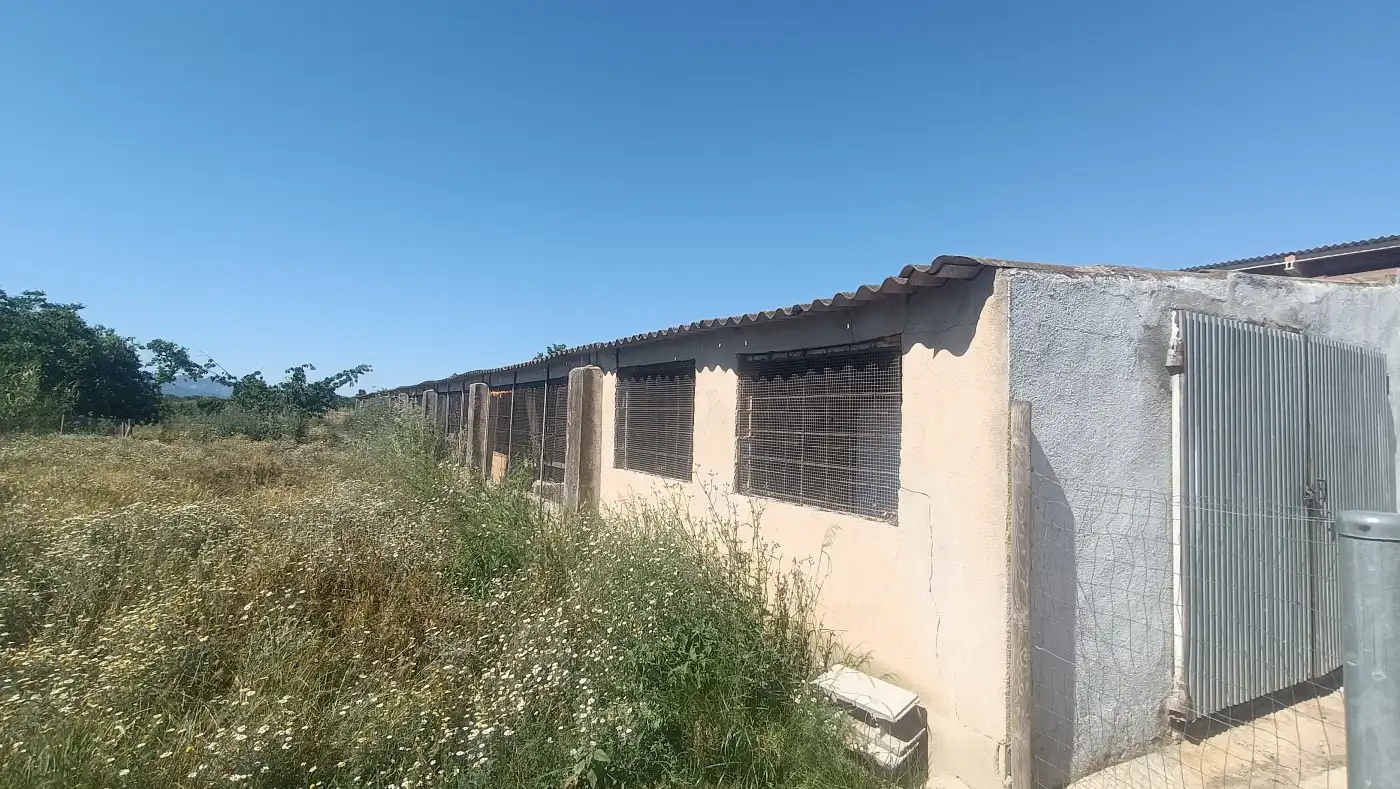 Vista exterior de Nau industrial en venda en Marçà