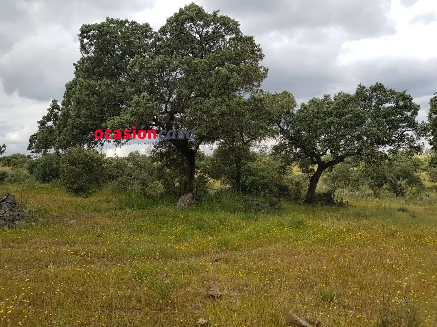 Finca rústica en venta en Torrecampo