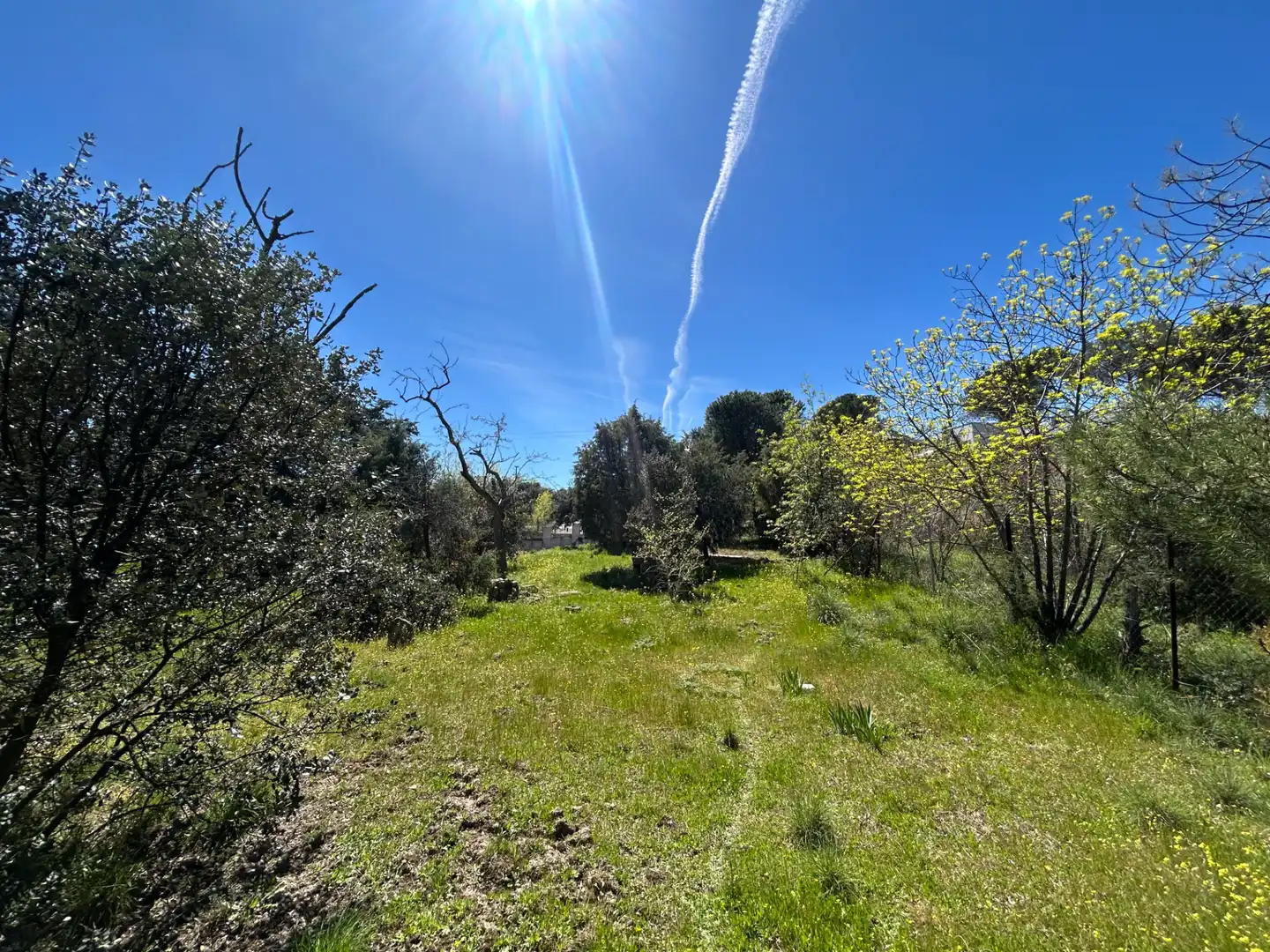 Terreno residencial en venta en Avenida de Pinares, imagen 10