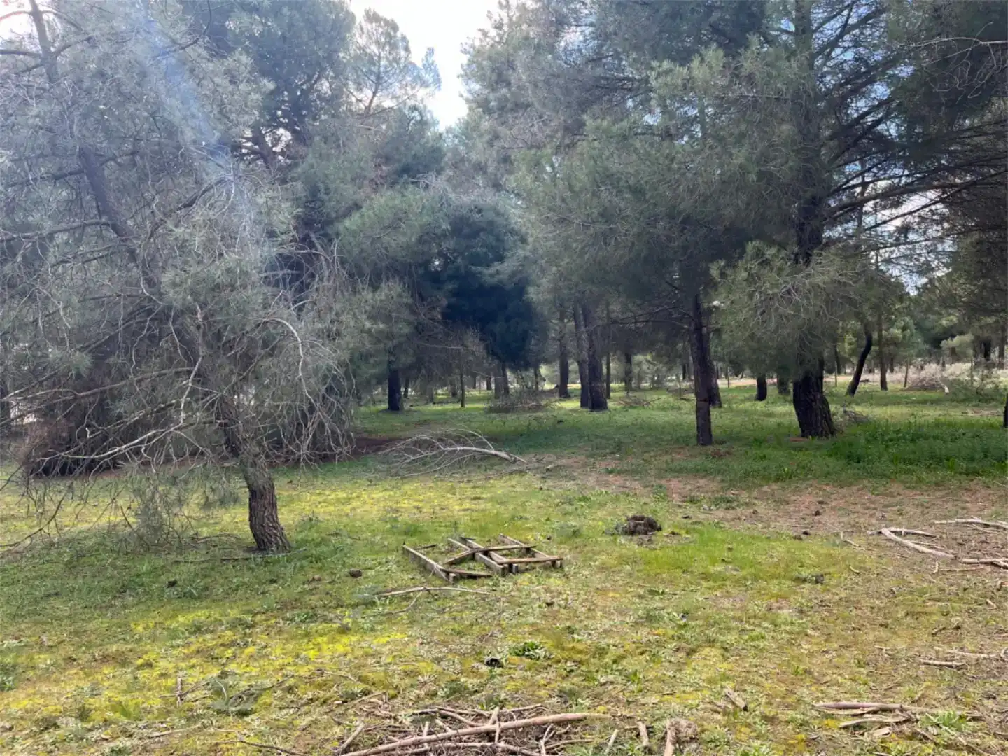 Finca rústica en venta en Alcazarén, Valladolid