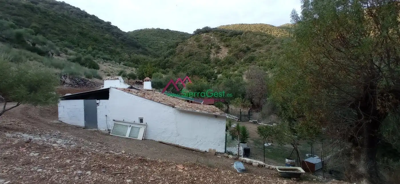 Terreni e lotti in vendita a Benaocaz, imagen 42