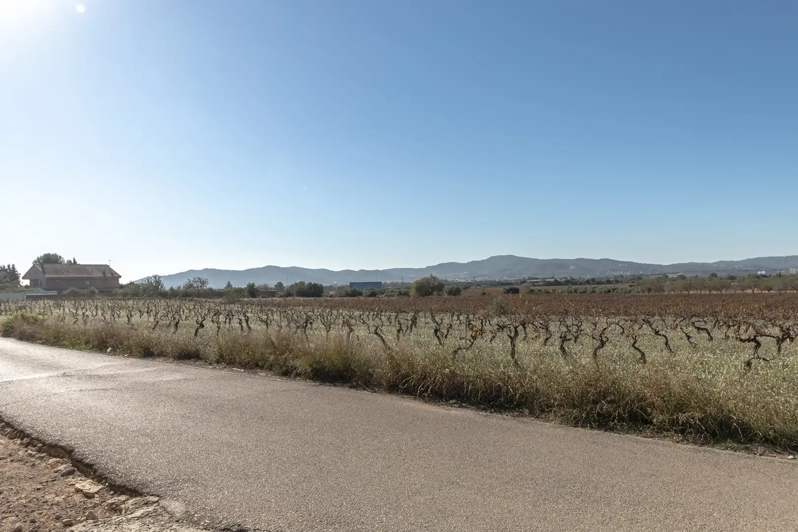 Vista exterior de Finca rústica en venda en Banyeres del Penedès amb Jardí privat, Parquet i Piscina
