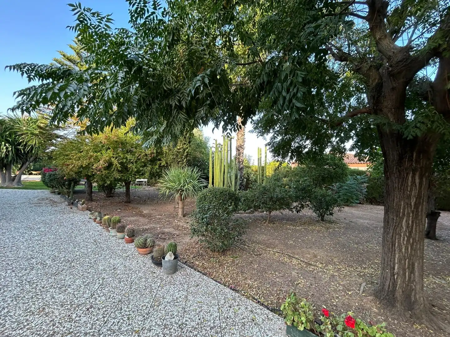 Jardín de Casa o chalet en venta en Carmona con Aire acondicionado, Terraza y Piscina