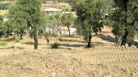 Terreno en venta en Sant Antoni de Calonge, imagen 4