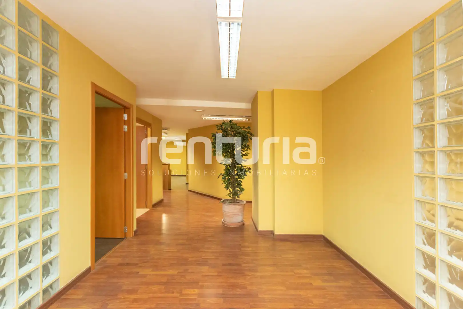Büro mit Terrasse zur Miete in Carrer de les Garrigues, imagen 12