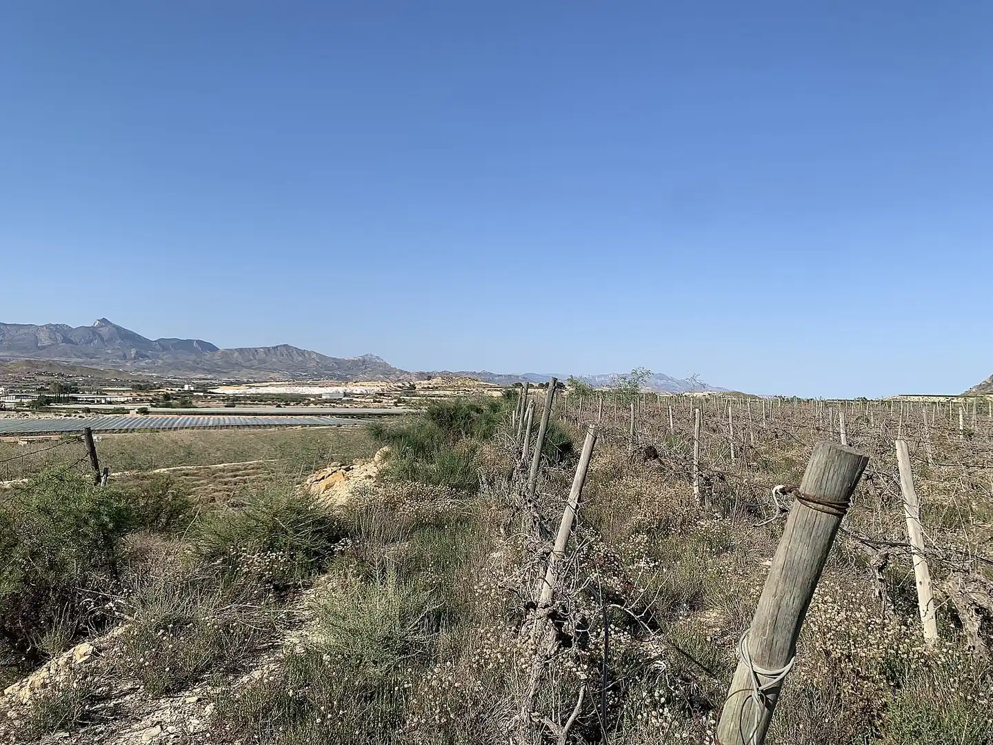 Terreno rústico en venta en Monforte del Cid, imagen 8