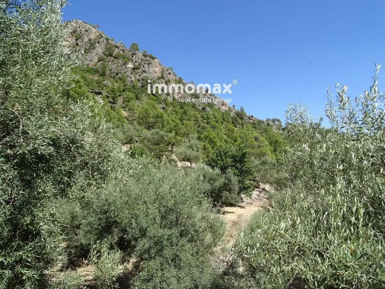 Villa à vendre à Paüls, imagen 6