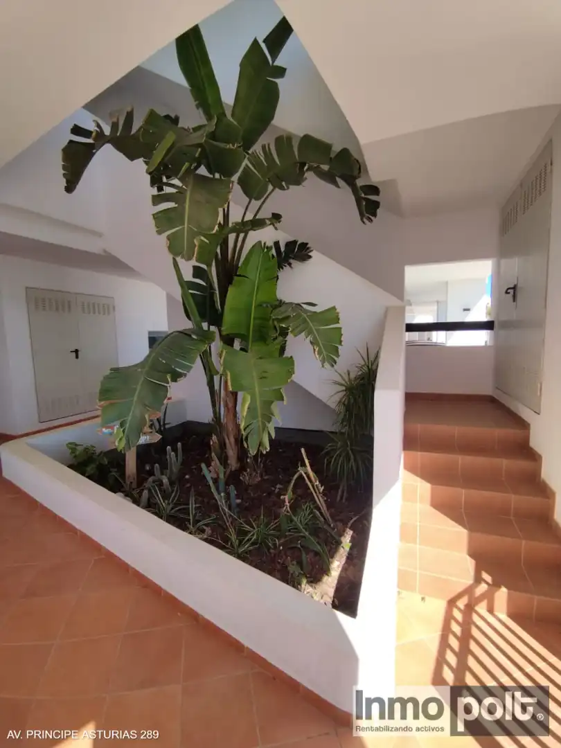 Apartamento de alquiler en Torre-Pacheco con Jardín privado, Terraza y Amueblado