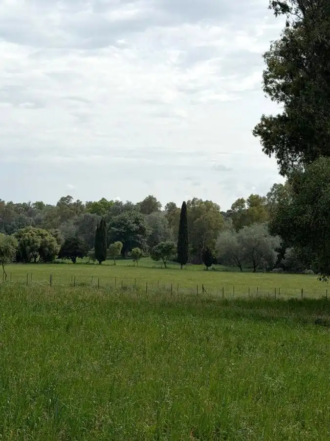 Finca rústica en venta en Jimena de la Frontera con Terraza