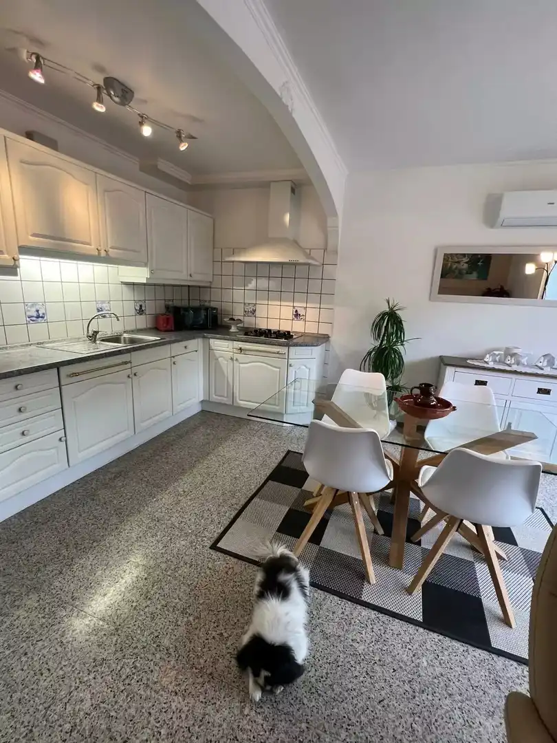 Apartment zum Verkauf in Moxó - Sant Mori, imagen 16