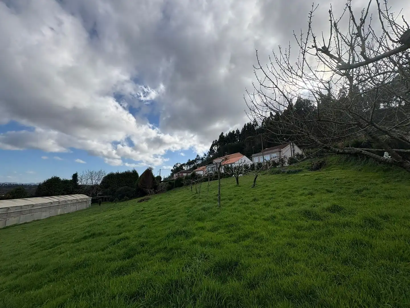 Rural land for sale in DP-3602, imagen 7