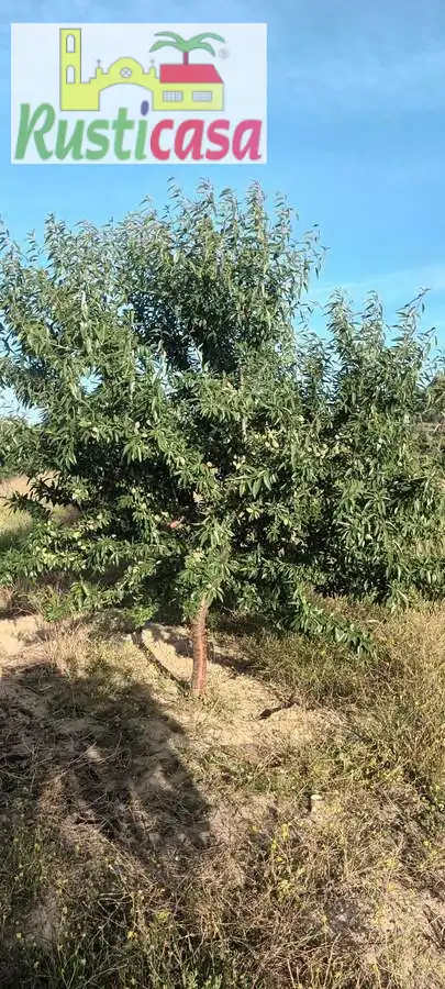 Terreni e lotti in vendita a Sevilleja, imagen 28
