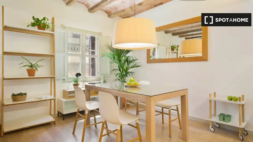 Flat with terrace to rent in Ciutat Vella, imagen 12