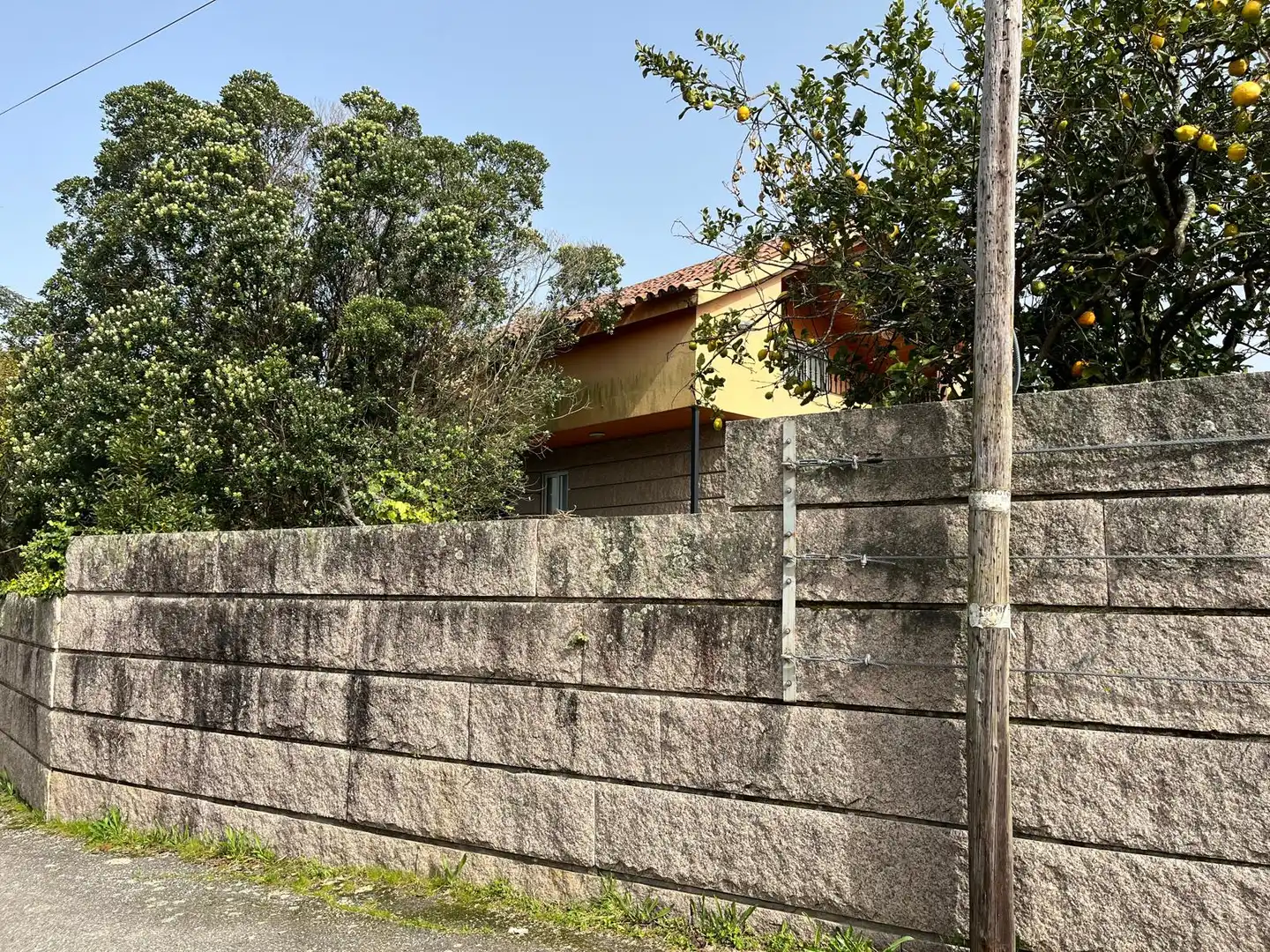 Exterior view of Houses for sale in Vigo   with Private garden, Terrace and Swimming Pool