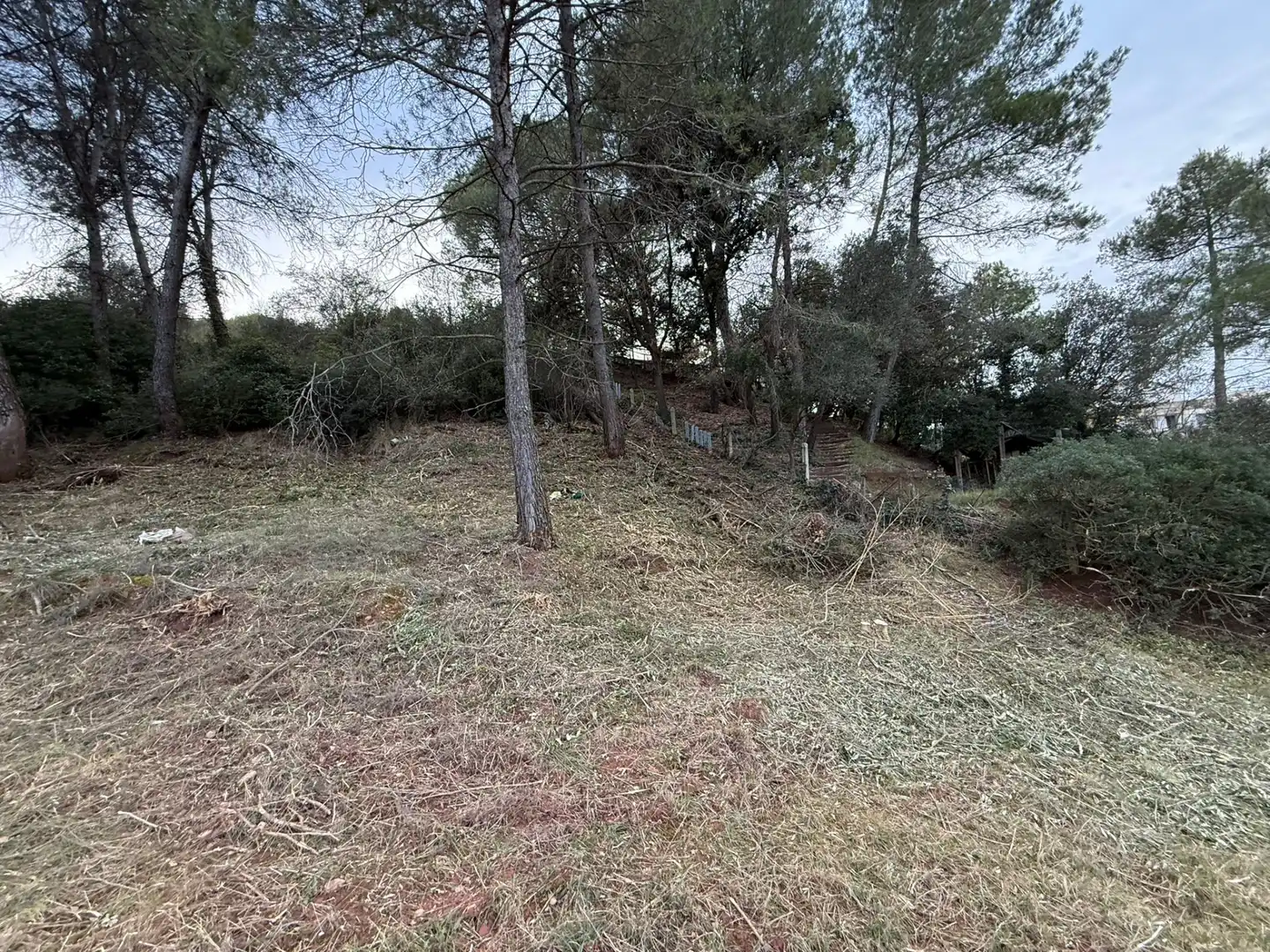 Terreny residencial en venda a Carrer del Turó Moliner 29, imagen 18