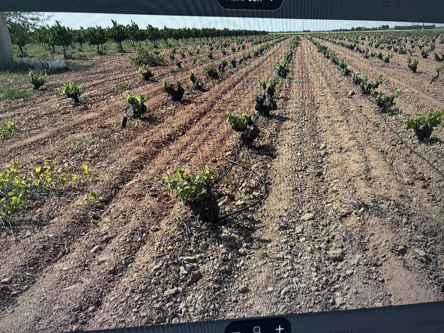 Terreno rústico en venta en N/A, imagen 4