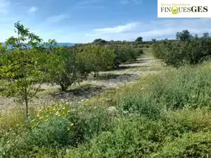 Rural land for sale in La Secuita, imagen 11