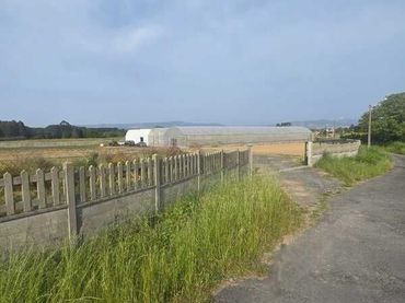 Terreny rústic en venda a Área Rural