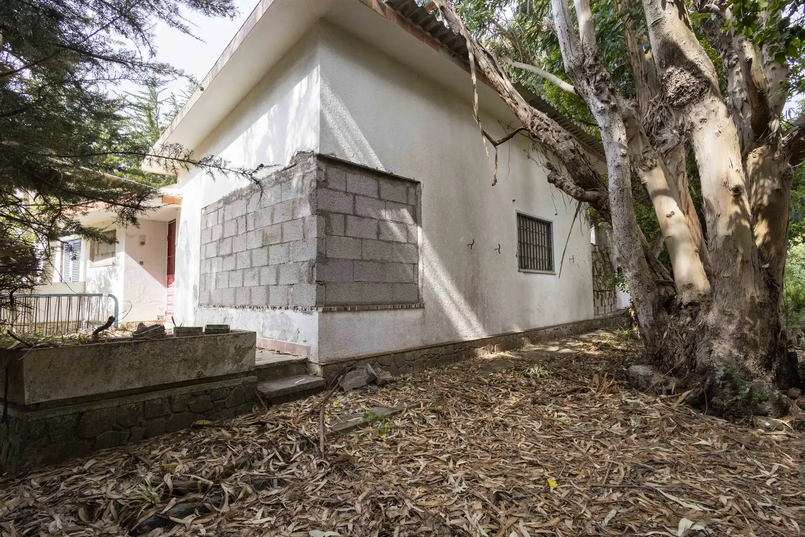 Vista exterior de Casa o chalet en venta en El Rosario