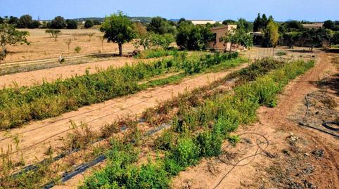 Foto 2 de Finca rústica en venta en Sa Casa Blanca, Illes Balears