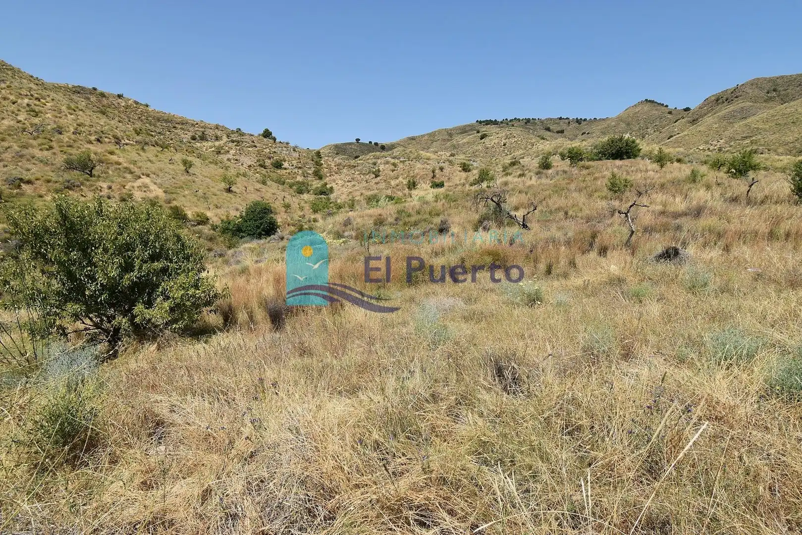 Country homes for sale in Lorca