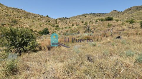 Foto 5 de Finca rústica en venta en Morata, Lorca