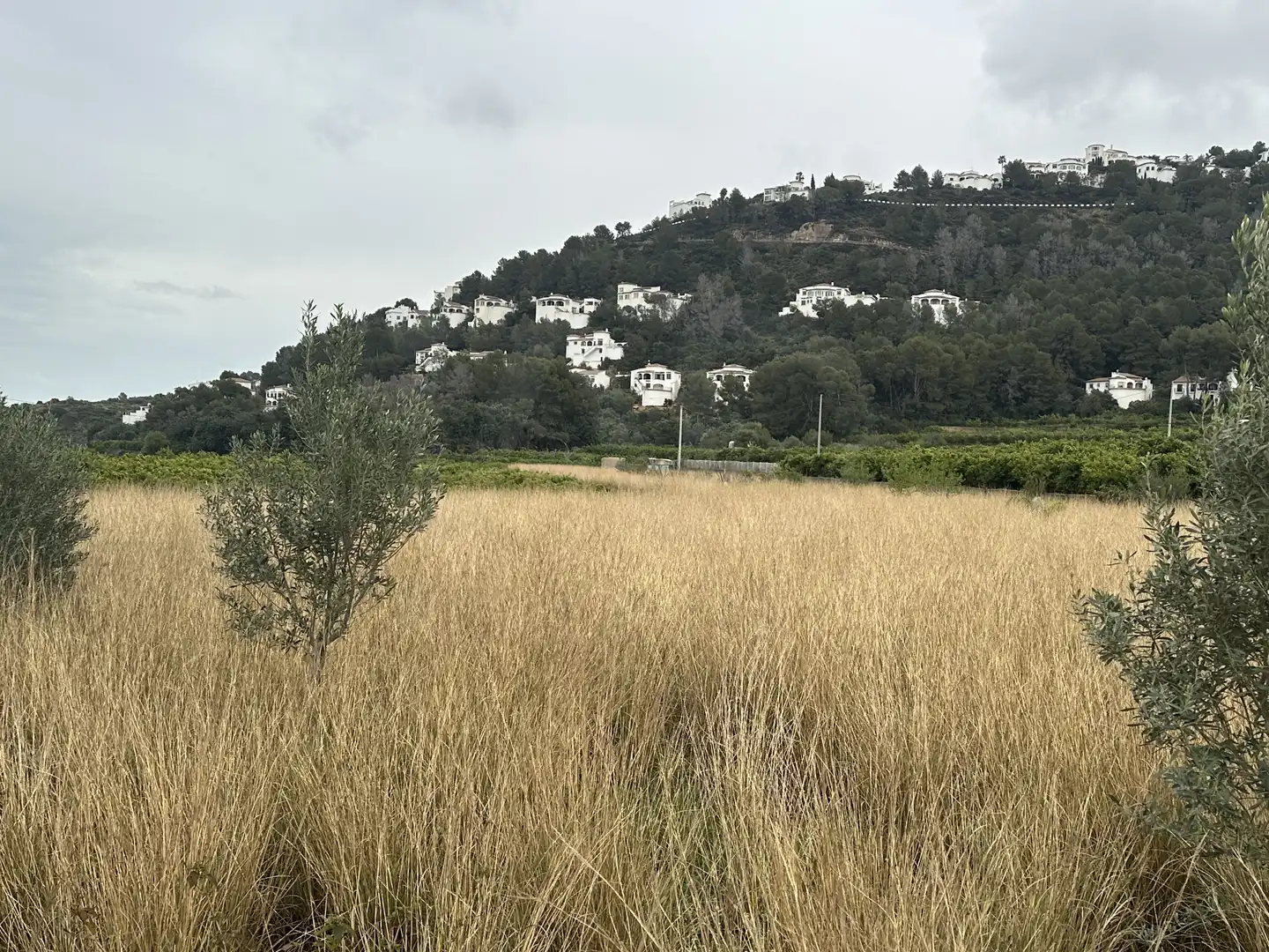 Terreno rustico in vendita a Pego, imagen 16