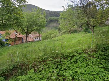 Wohnbaugrundstück zum Verkauf in Illas