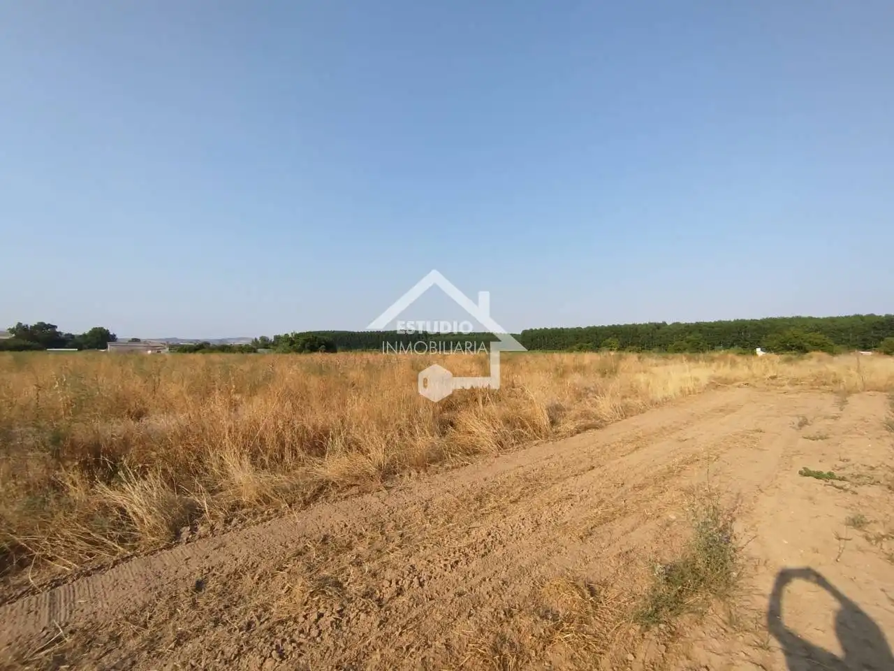 Rural land for sale in Viana, imagen 13