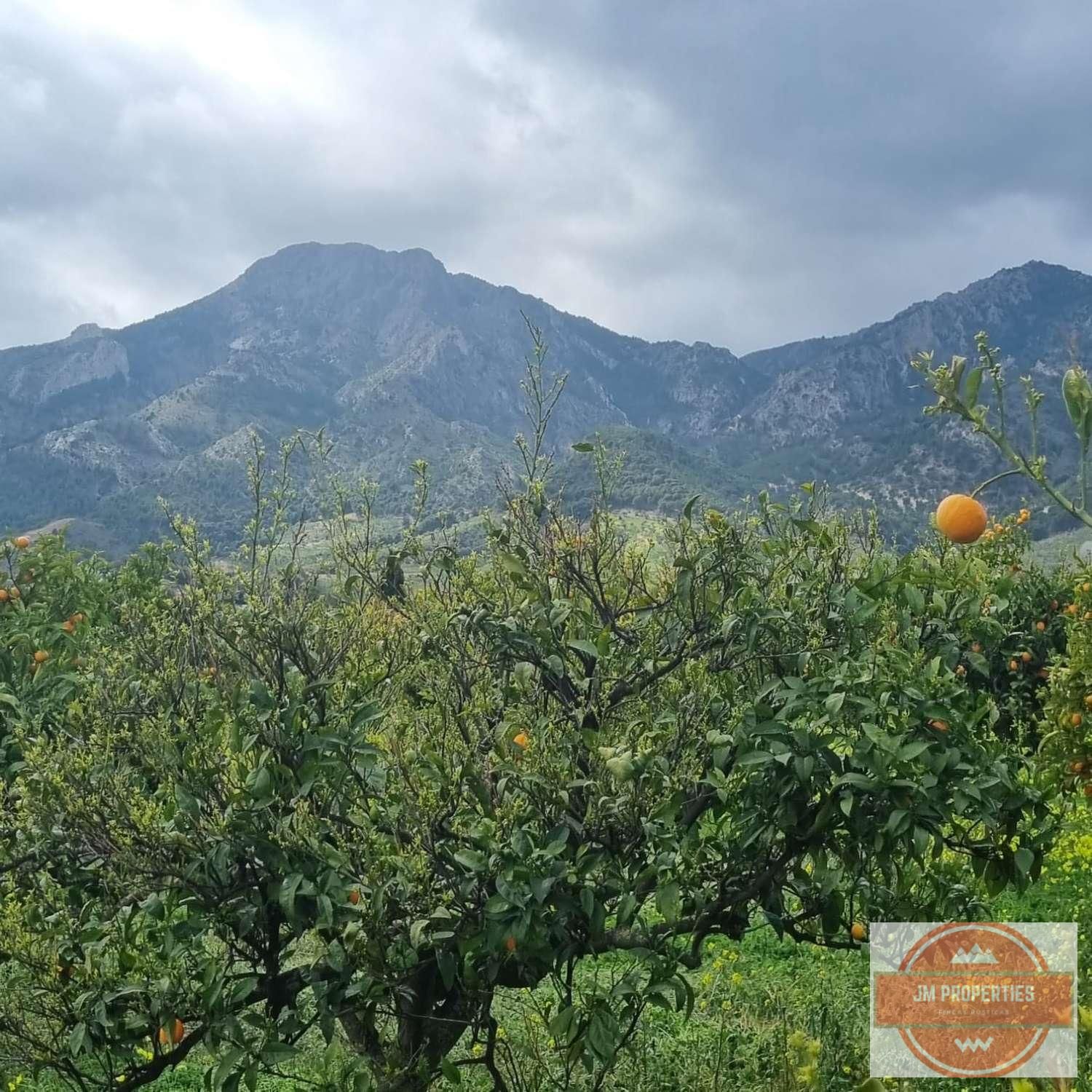 Residencial en venta en Carratraca