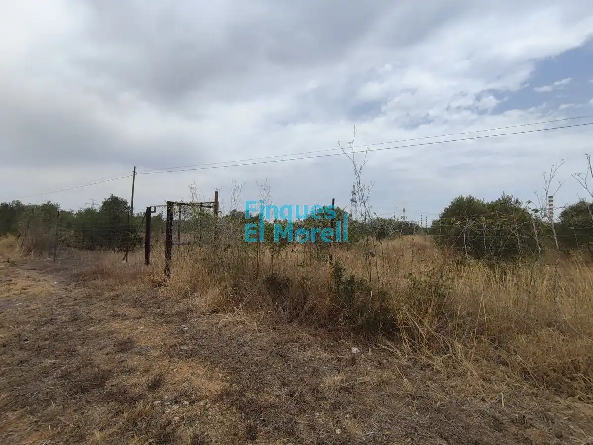 Finca rústica en venda en Constantí