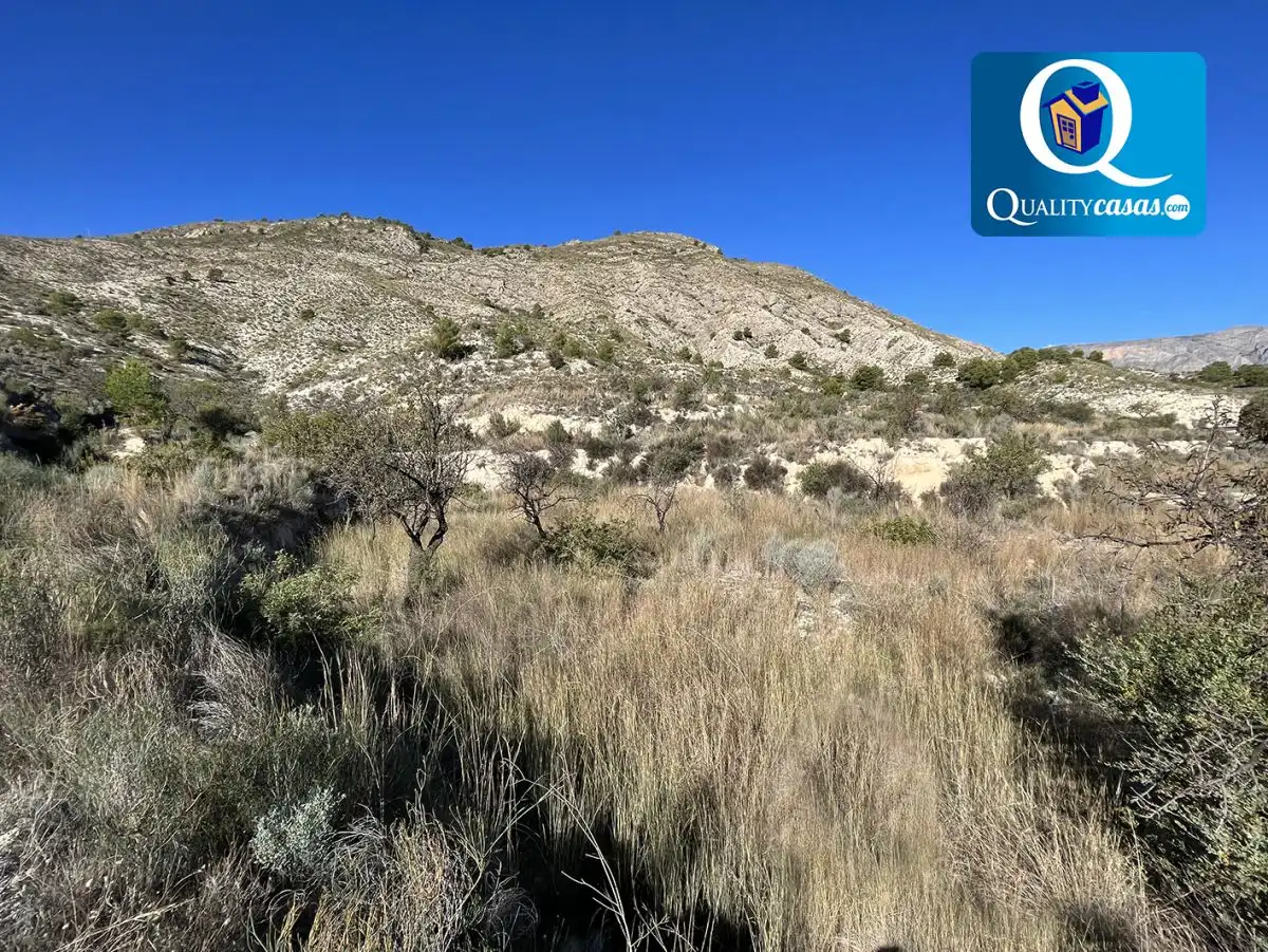 Terrenos y solares en venta en Orxeta, imagen 7