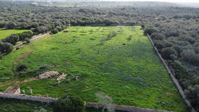 Terreno residencial en Venta en Ses Salines Poble