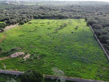 Terrenys i solars en venda a Ses Salines Poble