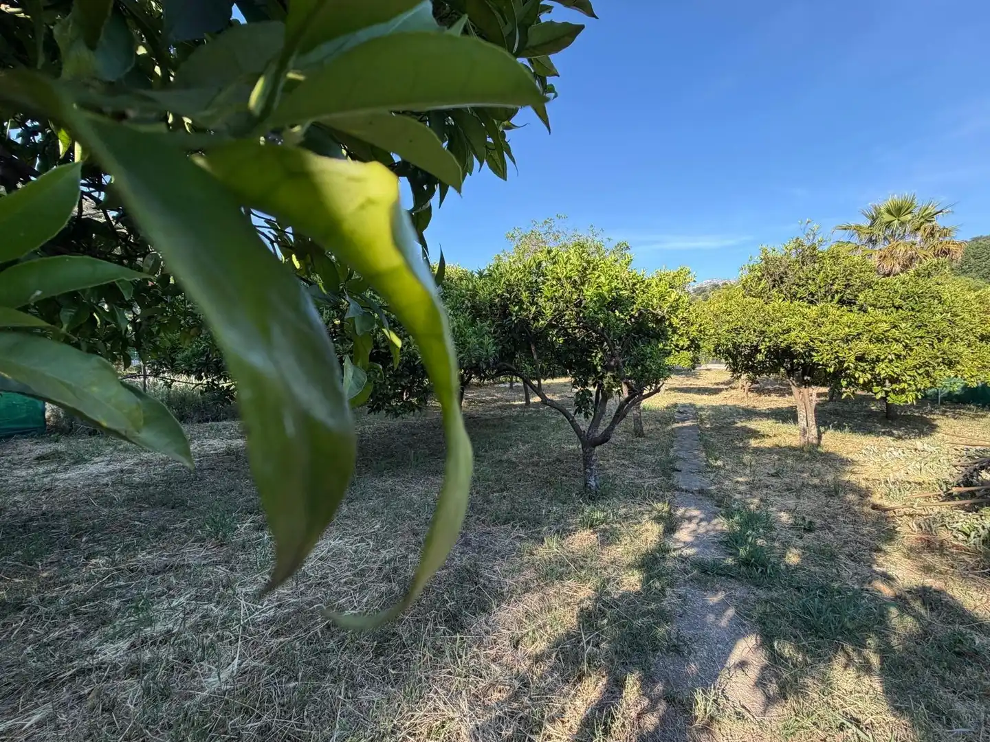 Terreni e lotti in vendita a Benaocaz, imagen 2