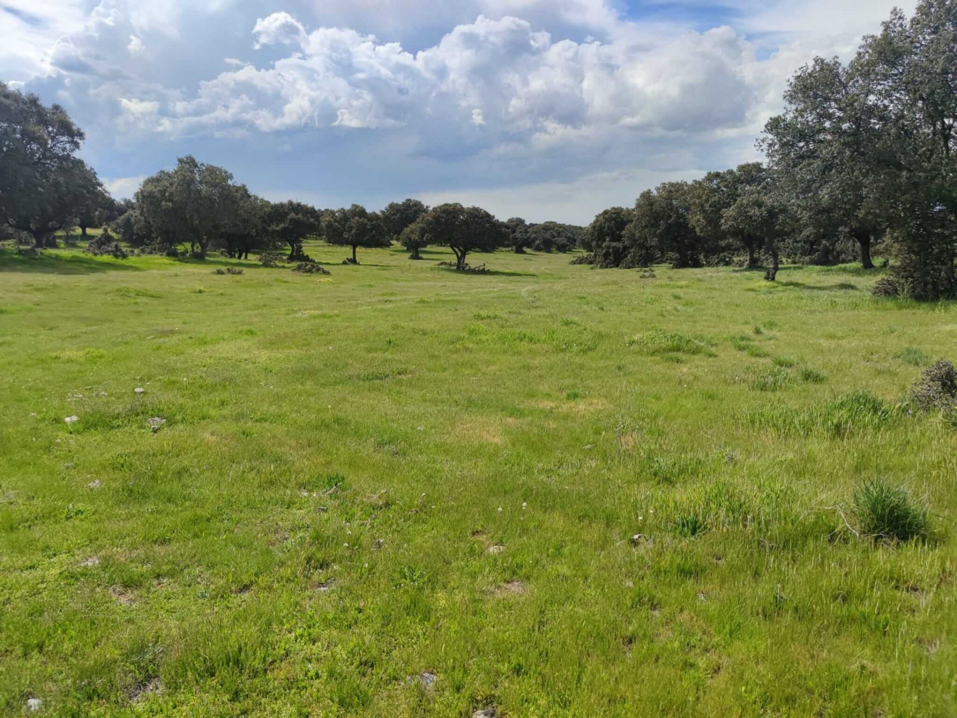 Finca rústica en venda en Maello