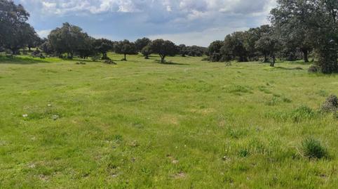 Foto 2 de Finca rústica en venda a Maello, Ávila
