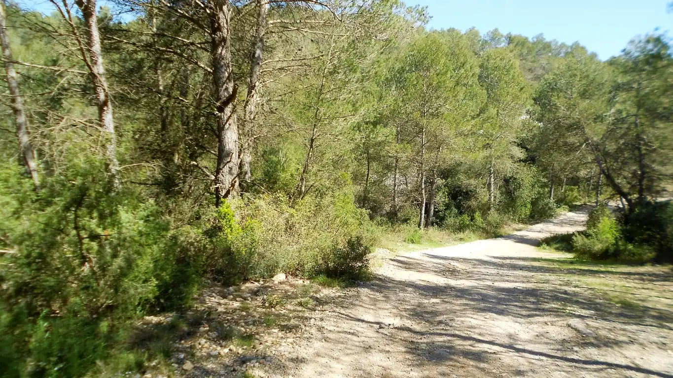 Terreno rústico en venta en Carrer Olesa de Bonesvalls 9, imagen 7