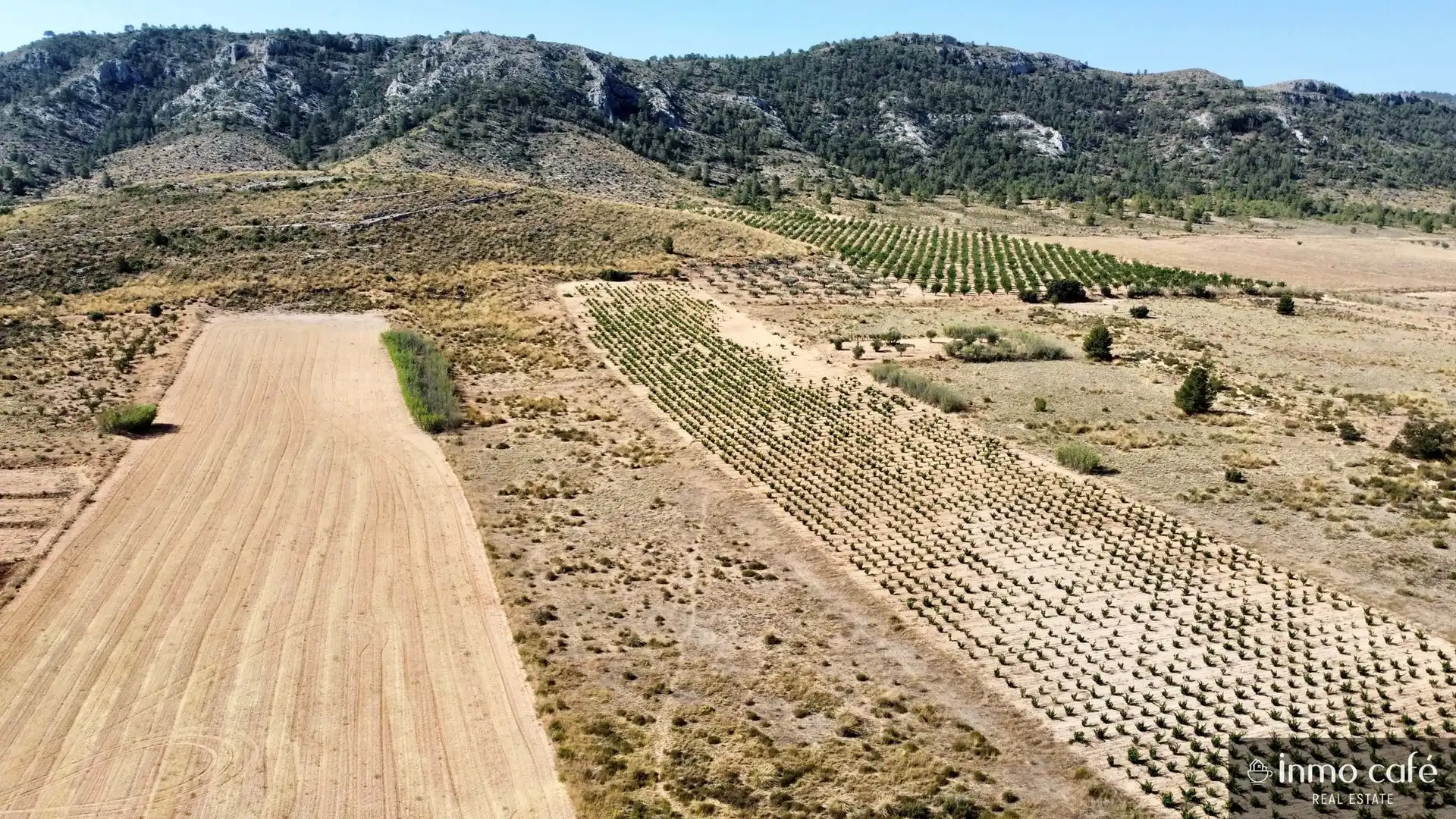 Terreno rustico in vendita a Parcela  CABEZO POLI., imagen 2
