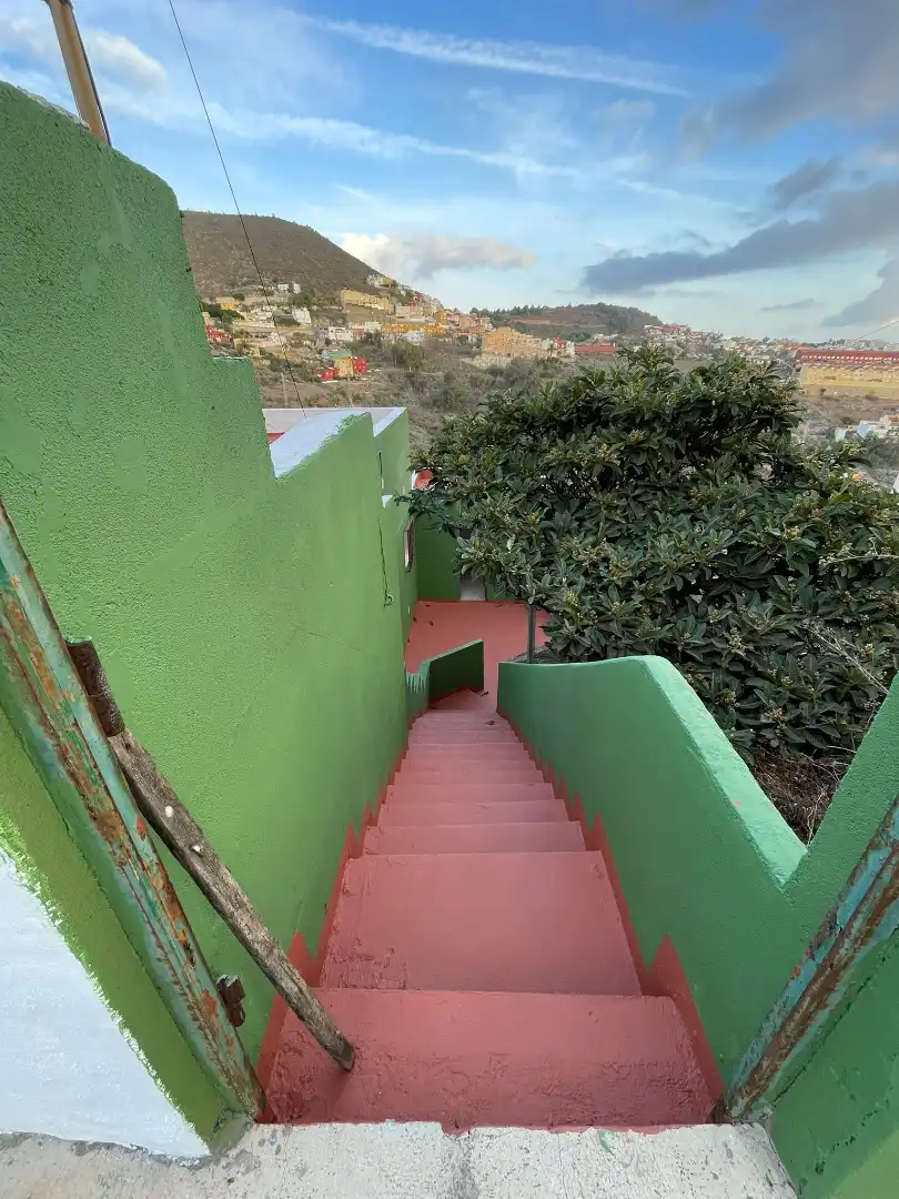 Vista exterior de Casa o chalet en venta en Las Palmas de Gran Canaria con Jardín privado, Terraza y Trastero