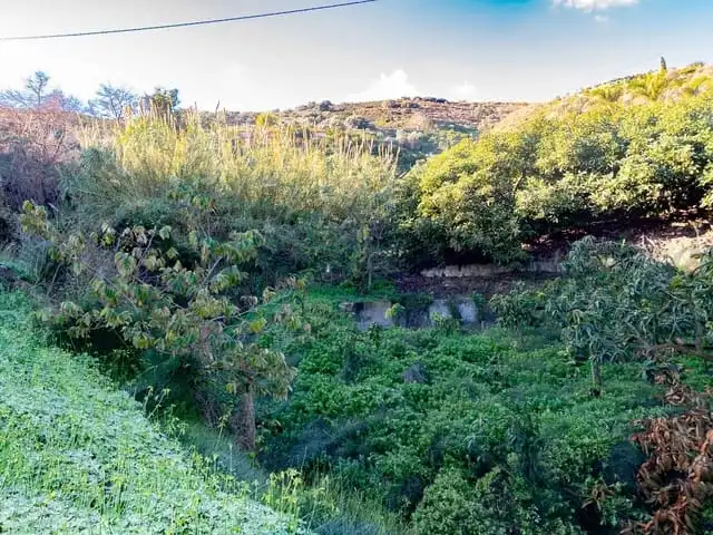 Terreni e lotti in vendita a Torrox Pueblo, imagen 8