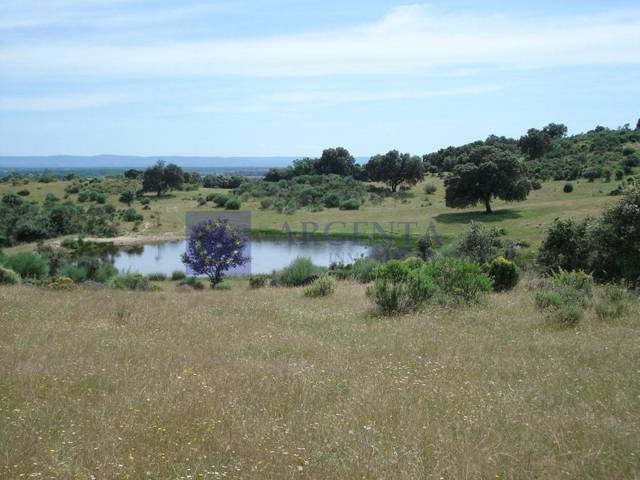 Casa-chalet en Venta en Poligono 11 Paraje 59 Cañada en Navalmoral de la Mata