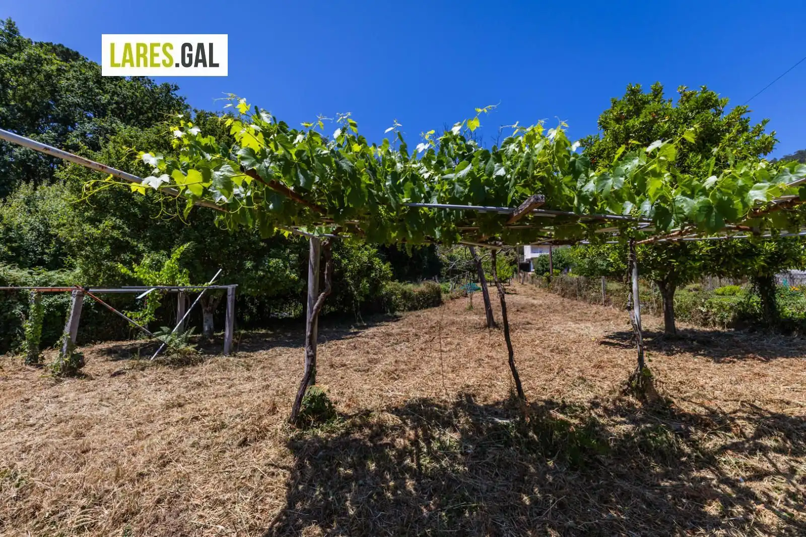 Lands and plots for sale in Ourelo, imagen 7