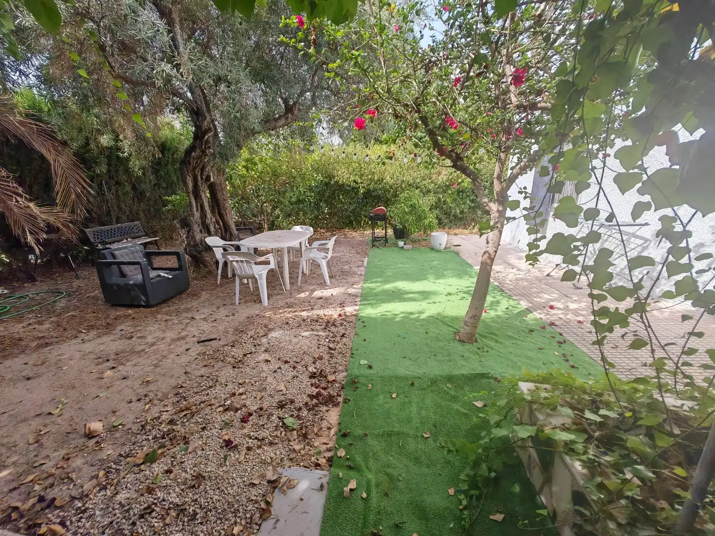 Garten von Einfamilien-Reihenhaus zur Miete in Playa Muchavista