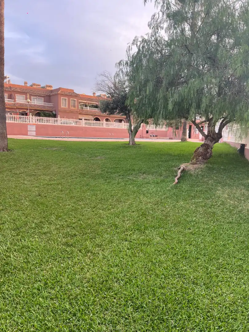 Bungalow amb piscina en venda a Gran Alacant, imagen 4