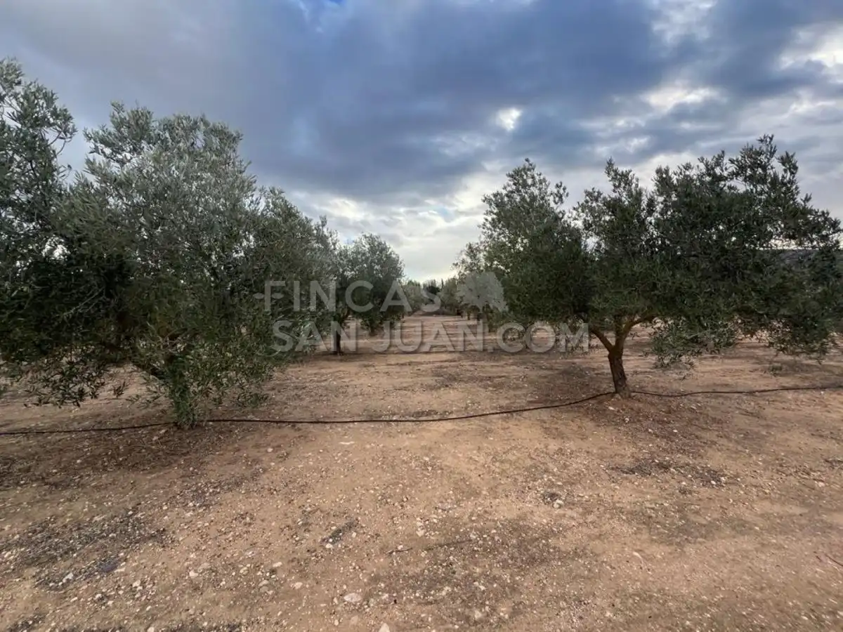 Country homes for sale in Biar