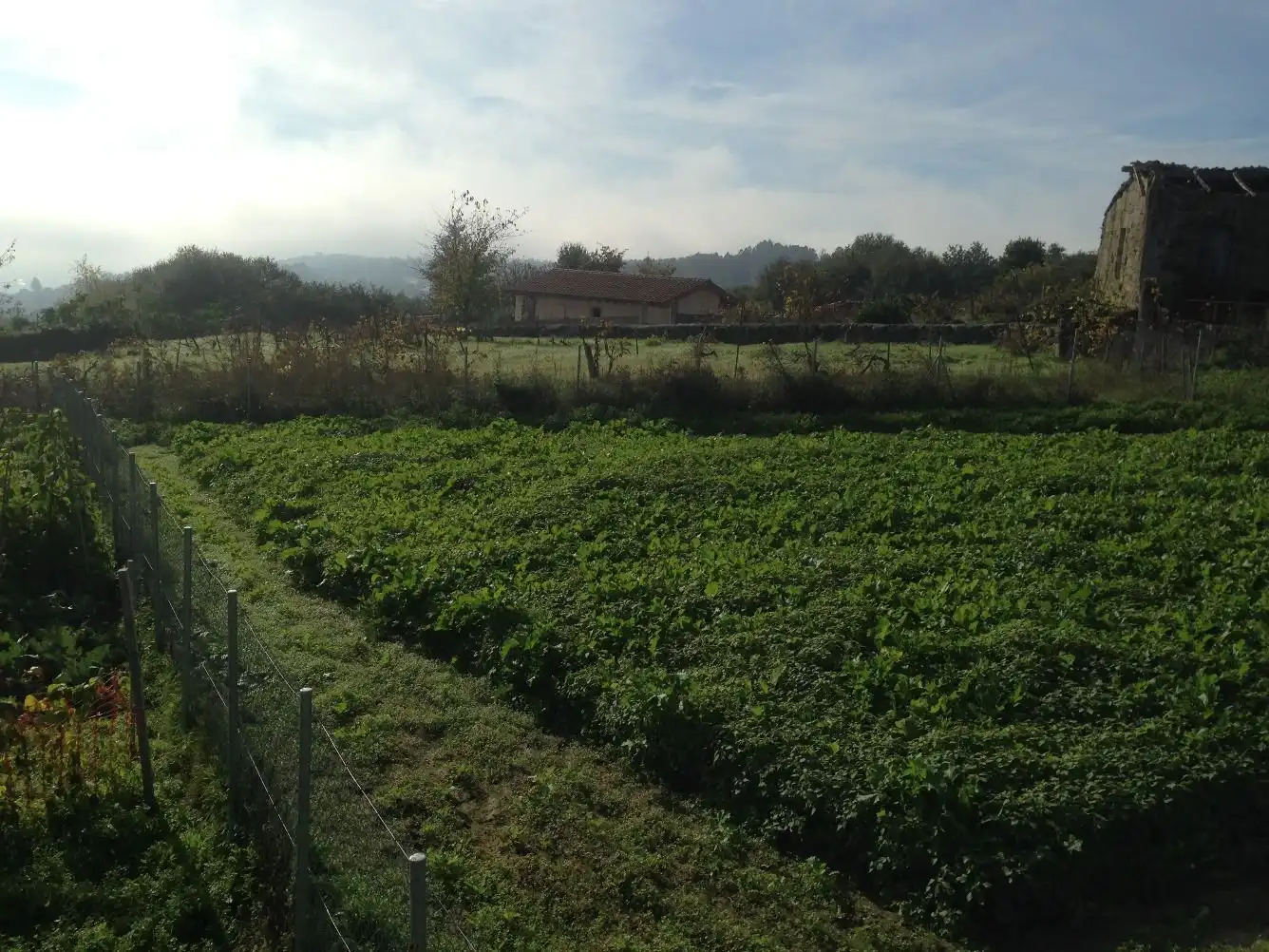 Terrenos y solares en venta en Coles